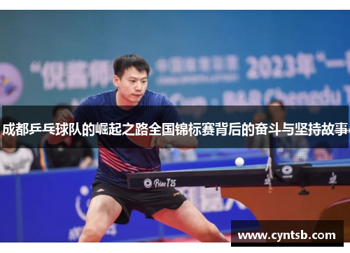 成都乒乓球队的崛起之路全国锦标赛背后的奋斗与坚持故事
