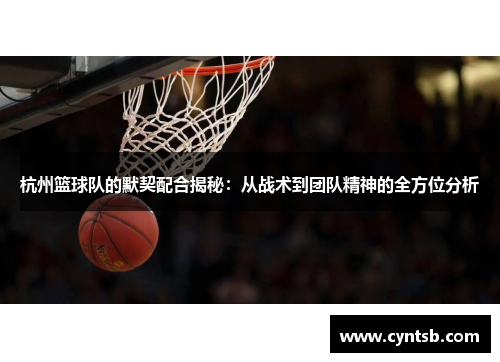杭州篮球队的默契配合揭秘：从战术到团队精神的全方位分析