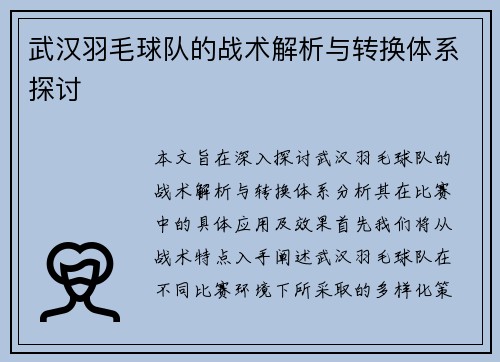 武汉羽毛球队的战术解析与转换体系探讨