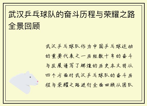 武汉乒乓球队的奋斗历程与荣耀之路全景回顾