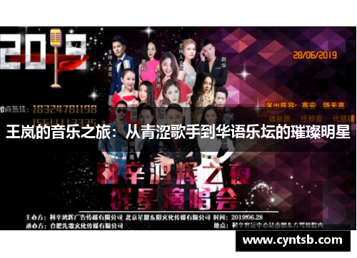 王岚的音乐之旅：从青涩歌手到华语乐坛的璀璨明星